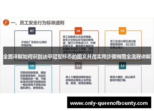 全面详解如何识别法甲冠军标志的图文并茂实用步骤指南全流程讲解